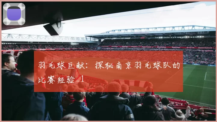 羽毛球巨献：探秘南京羽毛球队的比赛经验_1