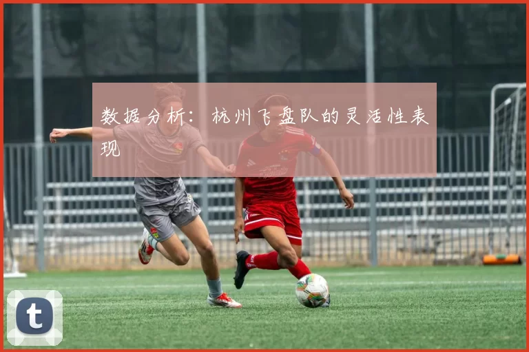 数据分析：杭州飞盘队的灵活性表现