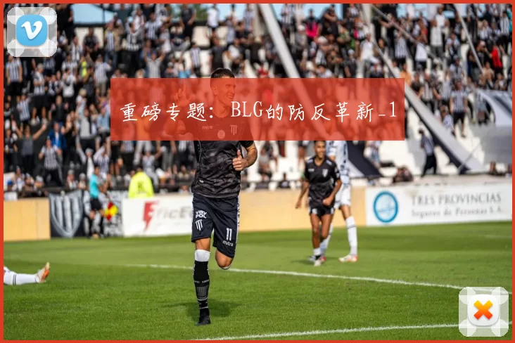 重磅专题：BLG的防反革新_1