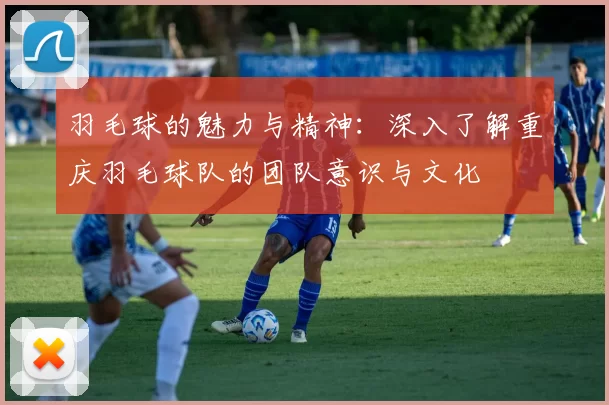 羽毛球的魅力与精神：深入了解重庆羽毛球队的团队意识与文化