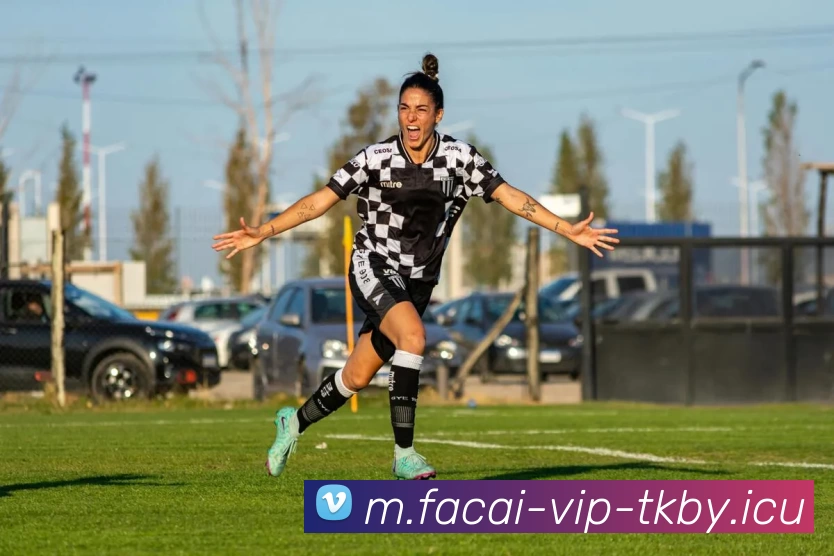 MK体育注册平台生态图