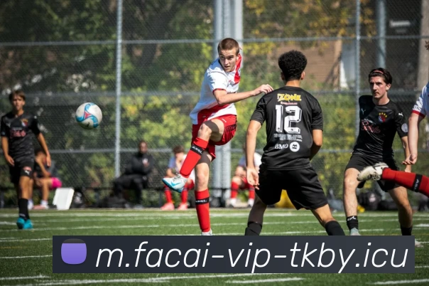 MK体育注册APP 封面图